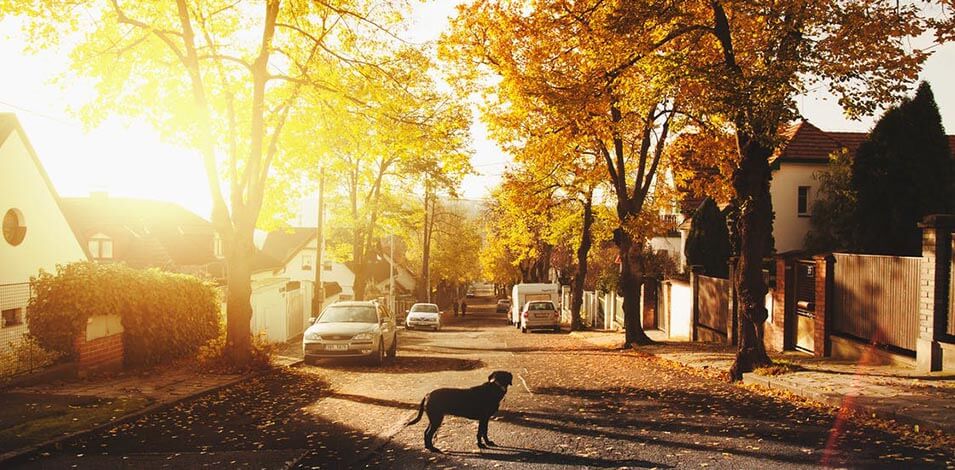 Zonnige straat huizen met zonnepanelen in de zon