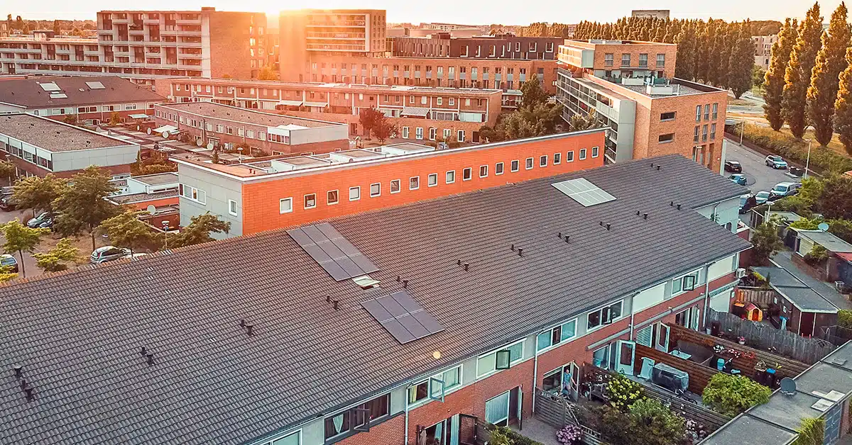 solease zonnepanelen persfoto